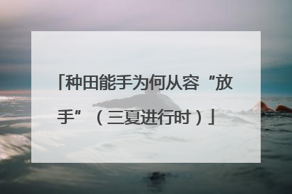种田能手为何从容“放手”（三夏进行时）