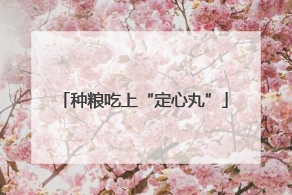 种粮吃上“定心丸”