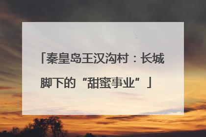 秦皇岛王汉沟村：长城脚下的“甜蜜事业”