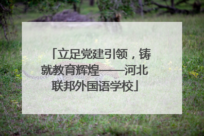 立足党建引领，铸就教育辉煌——河北联邦外国语学校