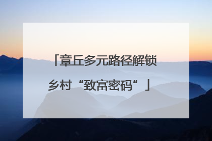 章丘多元路径解锁乡村“致富密码”