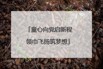 童心向党启新程 领巾飞扬筑梦想