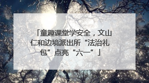 童趣课堂学安全，文山仁和边境派出所“法治礼包”点亮“六一”