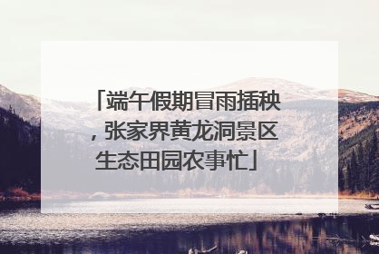 端午假期冒雨插秧，张家界黄龙洞景区生态田园农事忙