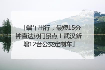 端午出行，最短15分钟直达热门景点！武汉新增12台公交定制车