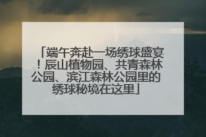 端午奔赴一场绣球盛宴！辰山植物园、共青森林公园、滨江森林公园里的绣球秘境在这里