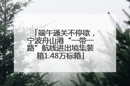 端午通关不停歇，宁波舟山港“一带一路”航线进出境集装箱1.48万标箱
