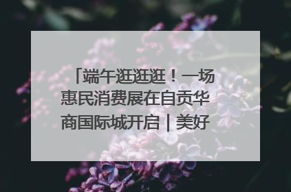 端午逛逛逛！一场惠民消费展在自贡华商国际城开启｜美好生活有“盐”味