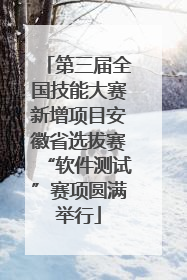第三届全国技能大赛新增项目安徽省选拔赛“软件测试”赛项圆满举行