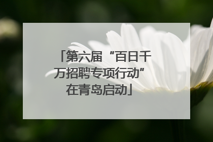 第六届“百日千万招聘专项行动”在青岛启动