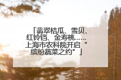 翡翠桔瓜、雪贝、红铃铛、金寿桃……上海市农科院开启“缤纷蔬菜之约”