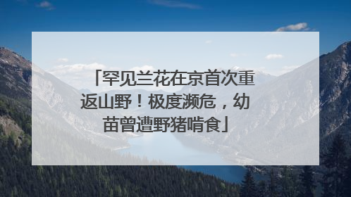 罕见兰花在京首次重返山野！极度濒危，幼苗曾遭野猪啃食
