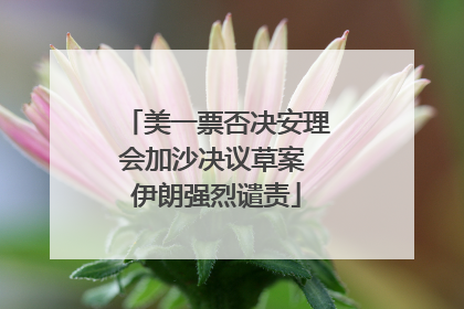 美一票否决安理会加沙决议草案 伊朗强烈谴责