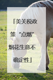 美关税政策“点燃”烟花生意不确定性