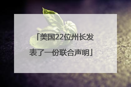 美国22位州长发表了一份联合声明
