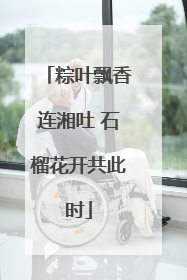 粽叶飘香连湘吐 石榴花开共此时