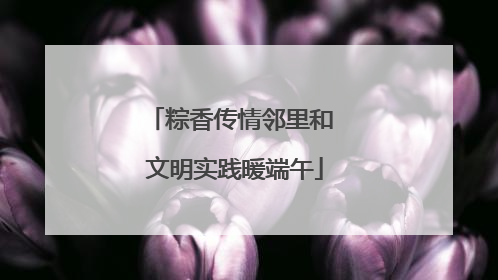 粽香传情邻里和 文明实践暖端午