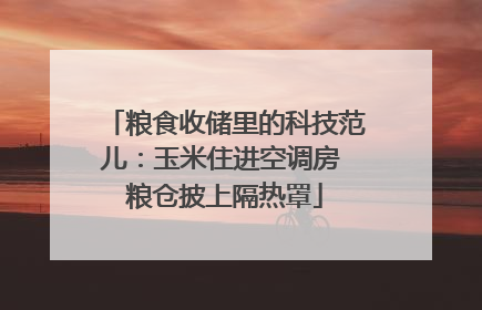 粮食收储里的科技范儿：玉米住进空调房 粮仓披上隔热罩