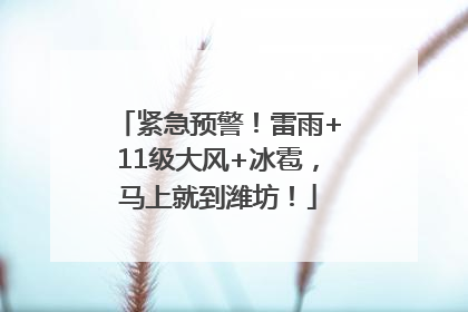 紧急预警！雷雨+11级大风+冰雹，马上就到潍坊！