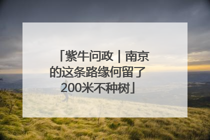 紫牛问政｜南京的这条路缘何留了200米不种树