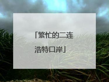 繁忙的二连浩特口岸