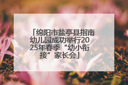 绵阳市盐亭县指南幼儿园成功举行2025年春季“幼小衔接”家长会