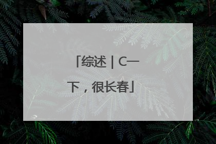 综述｜C一下，很长春