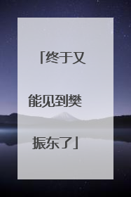 终于又能见到樊振东了