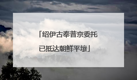 绍伊古奉普京委托已抵达朝鲜平壤