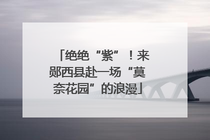 绝绝“紫”！来郧西县赴一场“莫奈花园”的浪漫