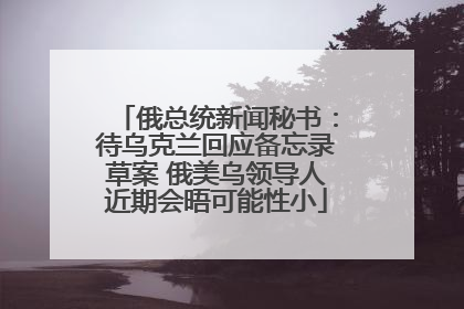 俄总统新闻秘书：待乌克兰回应备忘录草案 俄美乌领导人近期会晤可能性小
