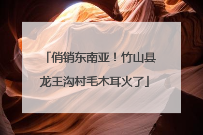 俏销东南亚！竹山县龙王沟村毛木耳火了
