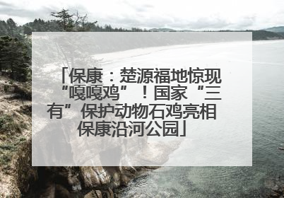 保康：楚源福地惊现“嘎嘎鸡”！国家“三有”保护动物石鸡亮相保康沿河公园