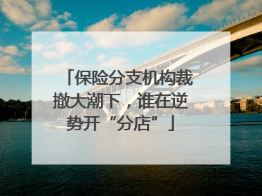 保险分支机构裁撤大潮下，谁在逆势开“分店”