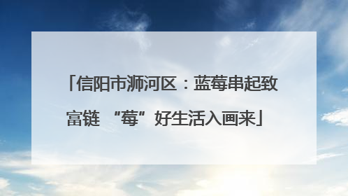 信阳市浉河区：蓝莓串起致富链 “莓”好生活入画来