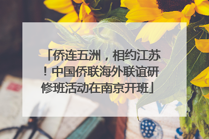 侨连五洲，相约江苏！中国侨联海外联谊研修班活动在南京开班