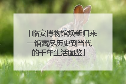临安博物馆焕新归来 一馆藏尽历史到当代的千年生活图鉴