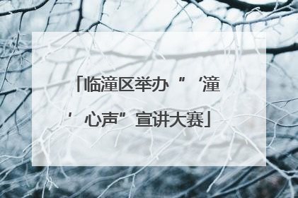 临潼区举办“‘潼’心声”宣讲大赛