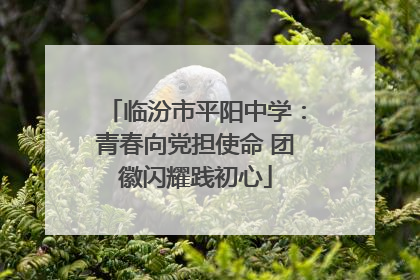 临汾市平阳中学：青春向党担使命 团徽闪耀践初心