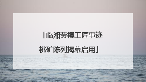 临湘劳模工匠事迹桃矿陈列揭幕启用