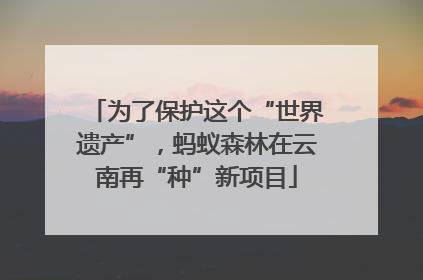 为了保护这个“世界遗产”，蚂蚁森林在云南再“种”新项目