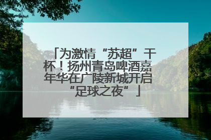 为激情“苏超”干杯！扬州青岛啤酒嘉年华在广陵新城开启“足球之夜”
