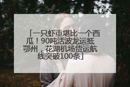 一只虾重堪比一个西瓜！90吨活波龙运抵鄂州，花湖机场货运航线突破100条
