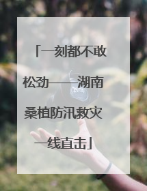 一刻都不敢松劲——湖南桑植防汛救灾一线直击