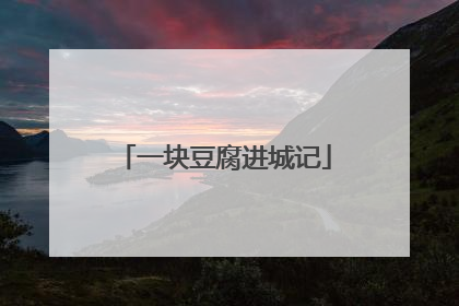 一块豆腐进城记