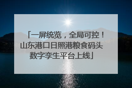 一屏统览，全局可控！山东港口日照港粮食码头数字孪生平台上线