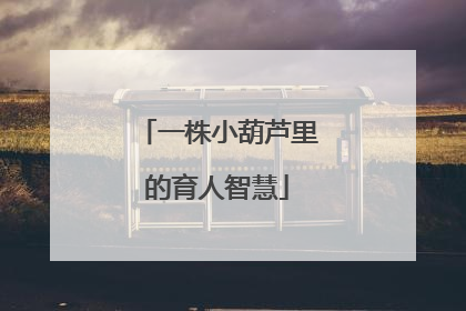 一株小葫芦里的育人智慧
