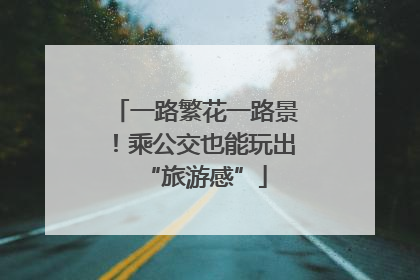 一路繁花一路景！乘公交也能玩出“旅游感”