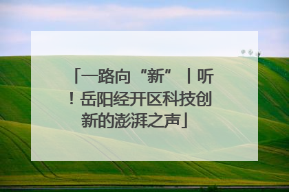 一路向“新”丨听！岳阳经开区科技创新的澎湃之声