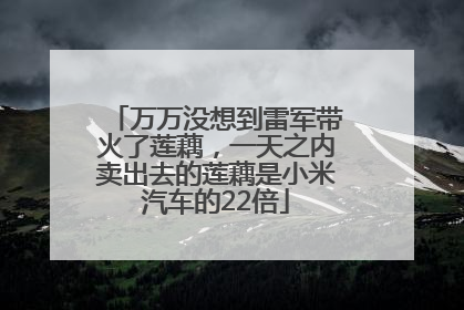 万万没想到雷军带火了莲藕，一天之内卖出去的莲藕是小米汽车的22倍